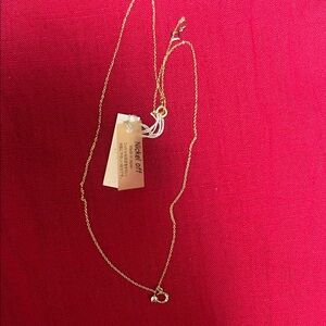 Stainless petit pendant ( nickel off)